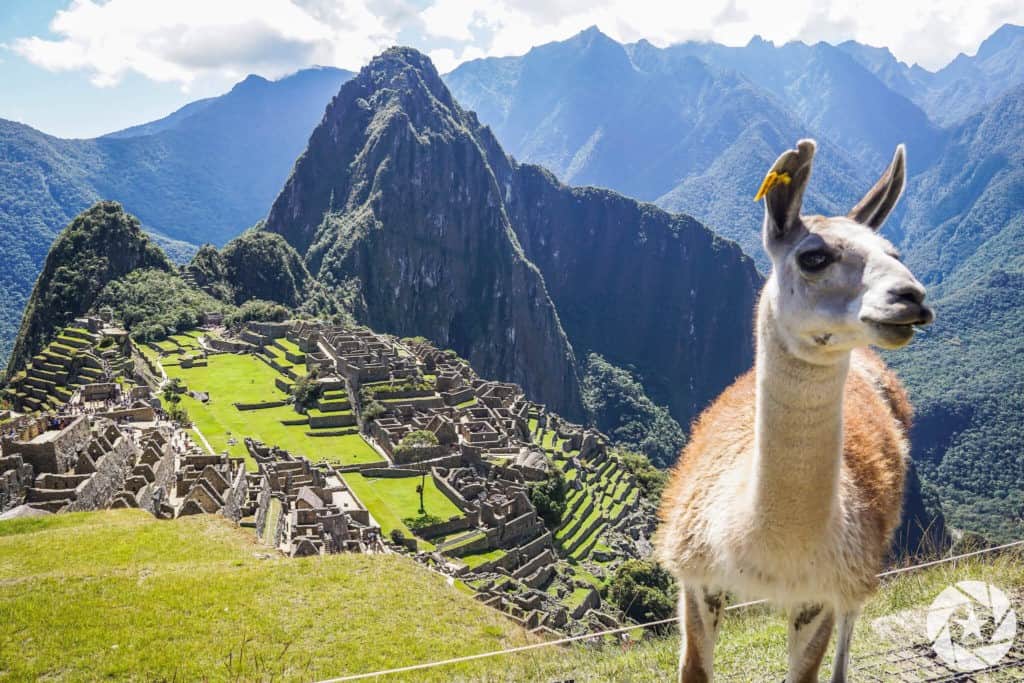 Conquering the Inca Trail: A Journey to Machu Picchu